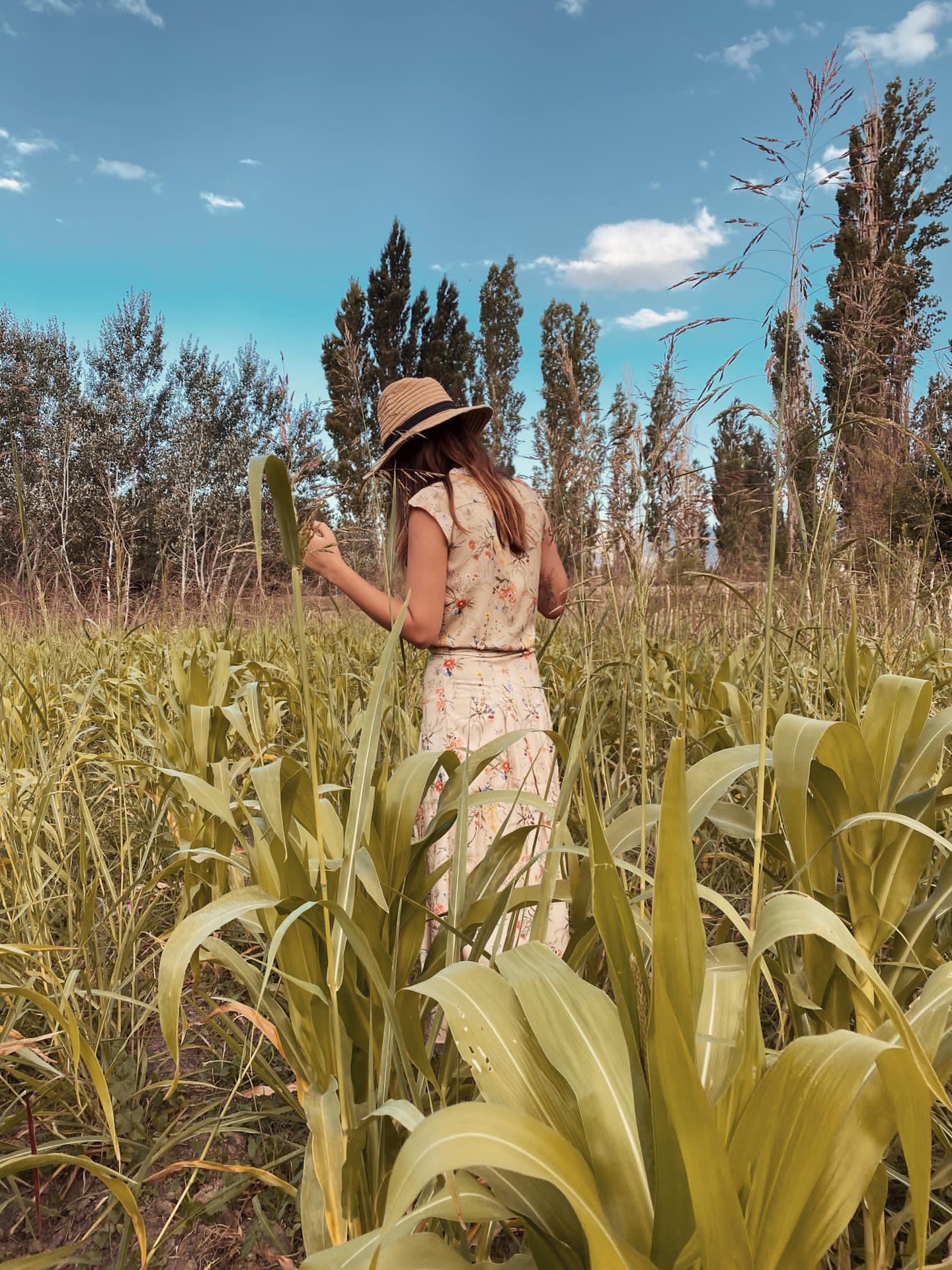 madre tierra + portada + blog + somos marie