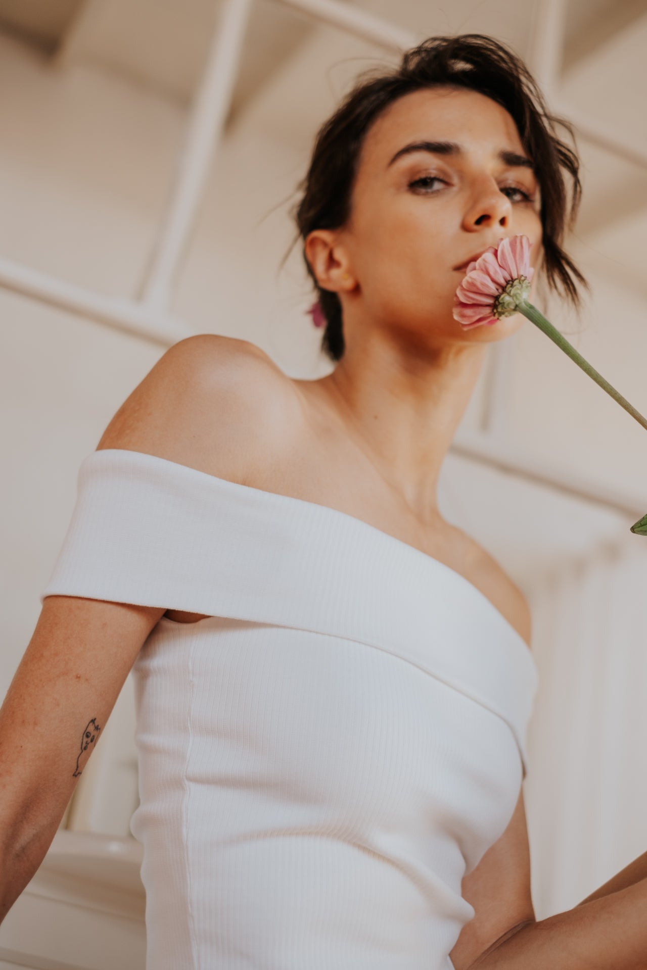 Top Gardenia Organic